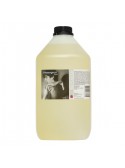 4S Massageoil Sport 2,7 l